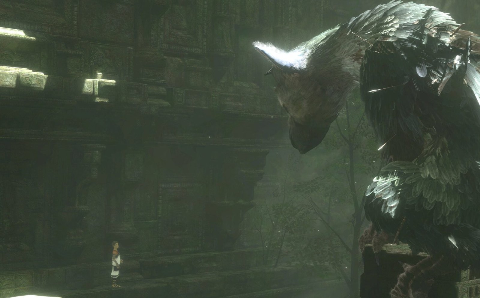 The last Guardian доспехи. The last Guardian ps3. Последний хранитель обложка игры. Трико в доспехах.